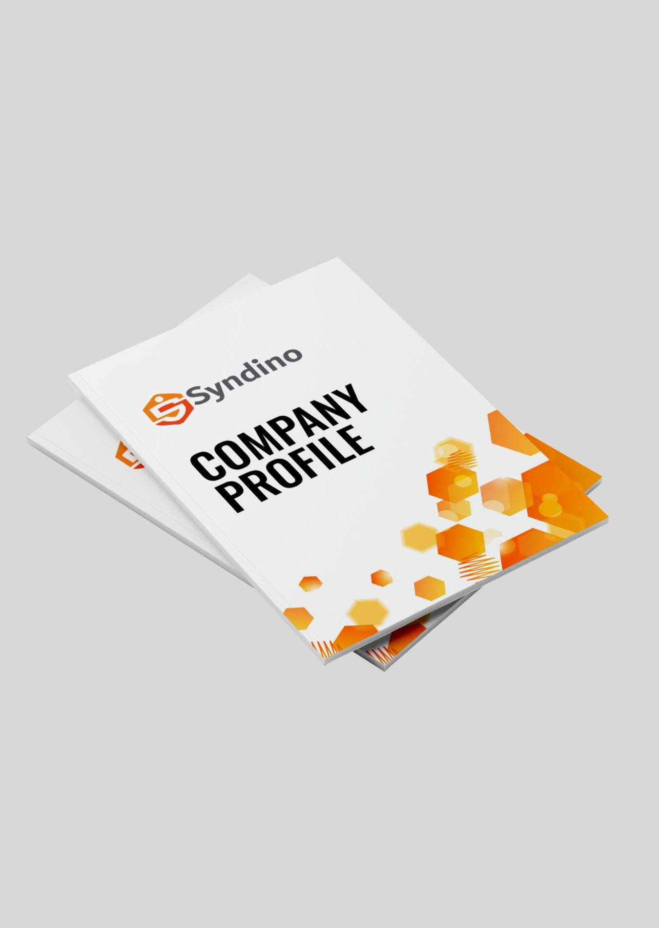 Company-Profile